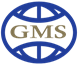 G M S International